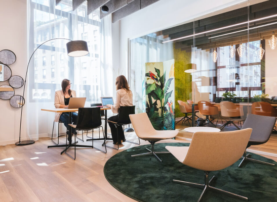 会社情報のイメージ